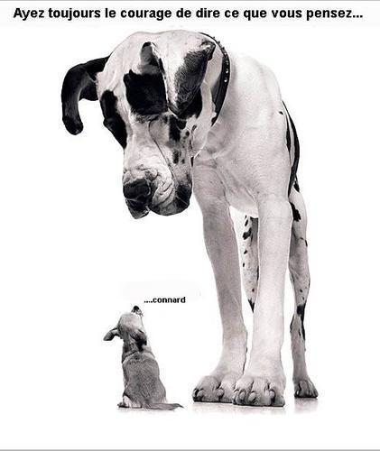 soyez  capable de dire